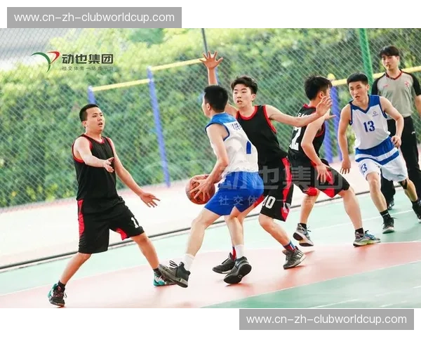 开云体育官网：引领未来体育娱乐的数字化平台