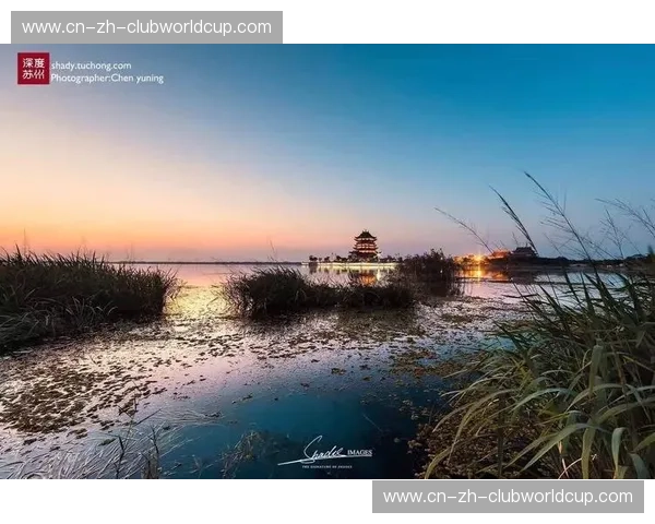 海风与城韵的交响：横浜与仙台，一场关于城市魅力的深度对话